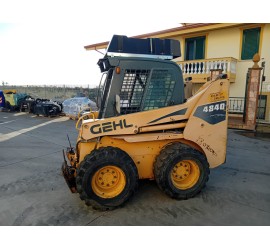 Minipala gommata GHEL 4840