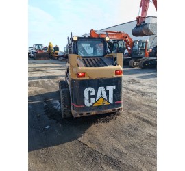 Minipala gommata  Cat 226